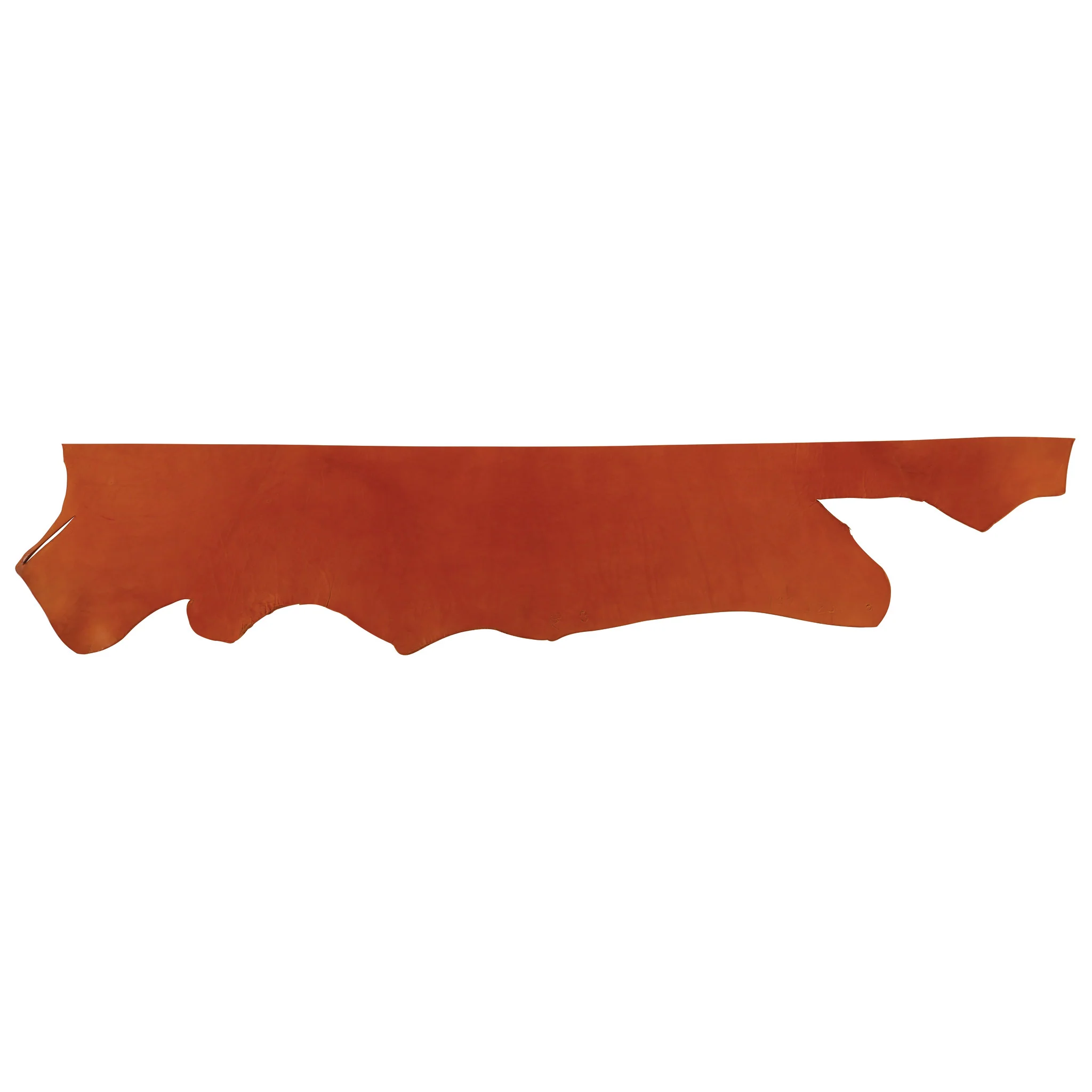 CHAHINLEATHER® English Bridle Leather, Belly, 12/13 oz. - Image 7