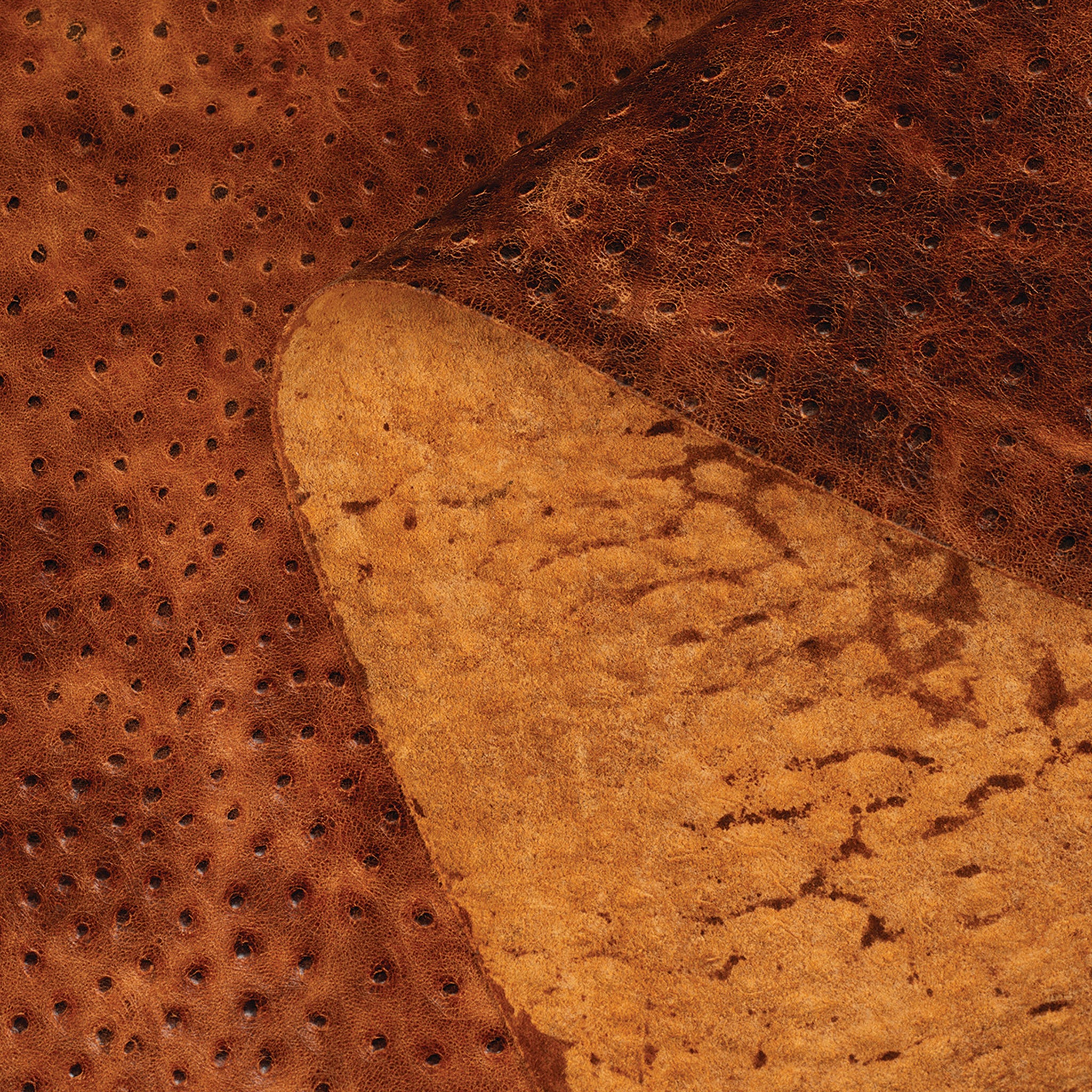 Embossed Leather, 2-3 oz., Ostrich Cognac - Image 3