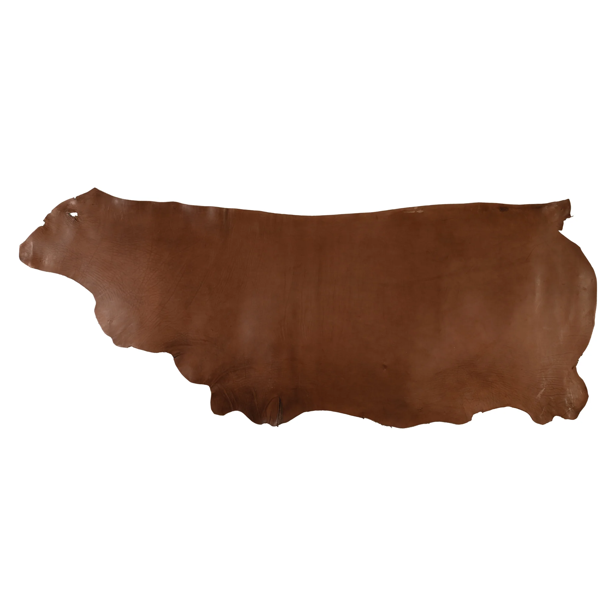 Hermann Oak® Saddle Skirting Leather - Image 11