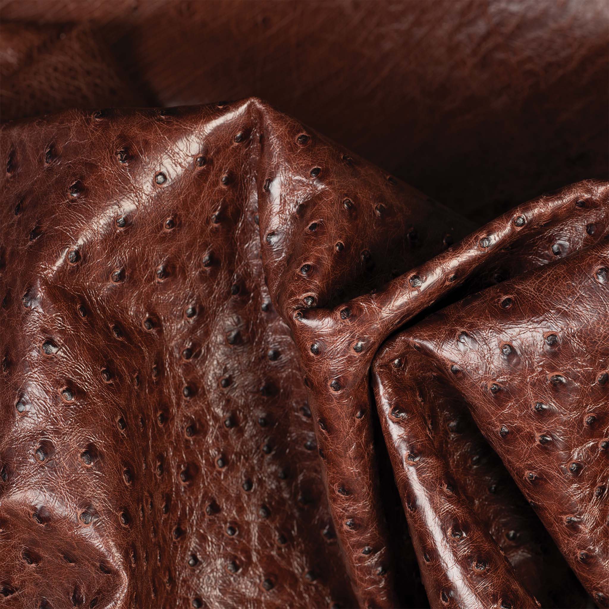 Ostrich Leather - Image 13