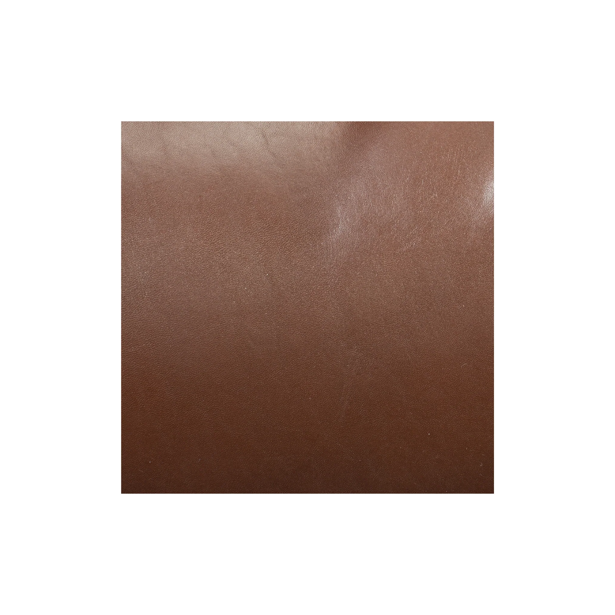Sample, Branded Finished Double Backs - Image 4