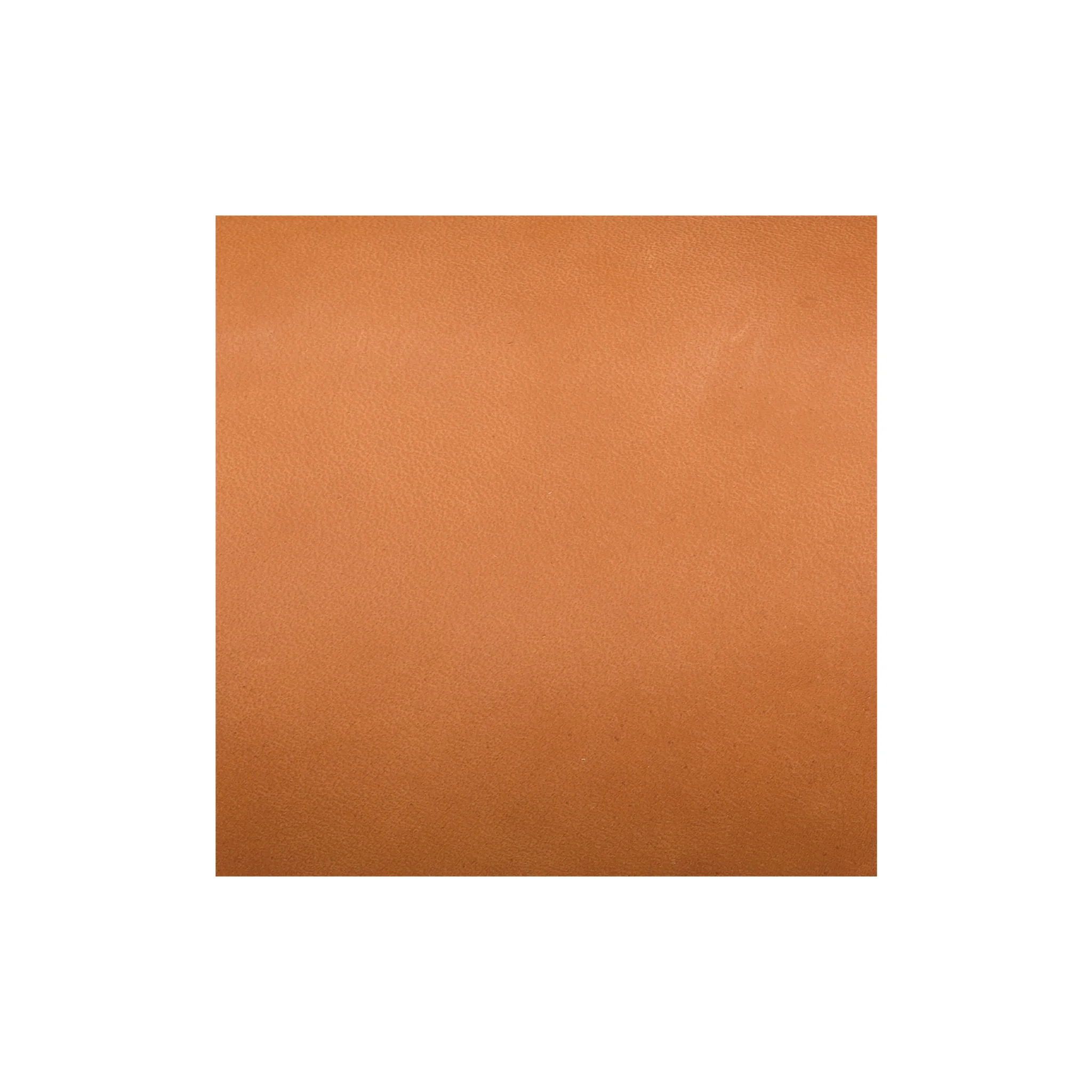 Sample, CHAHINLEATHER® English Bridle Sides - Image 6