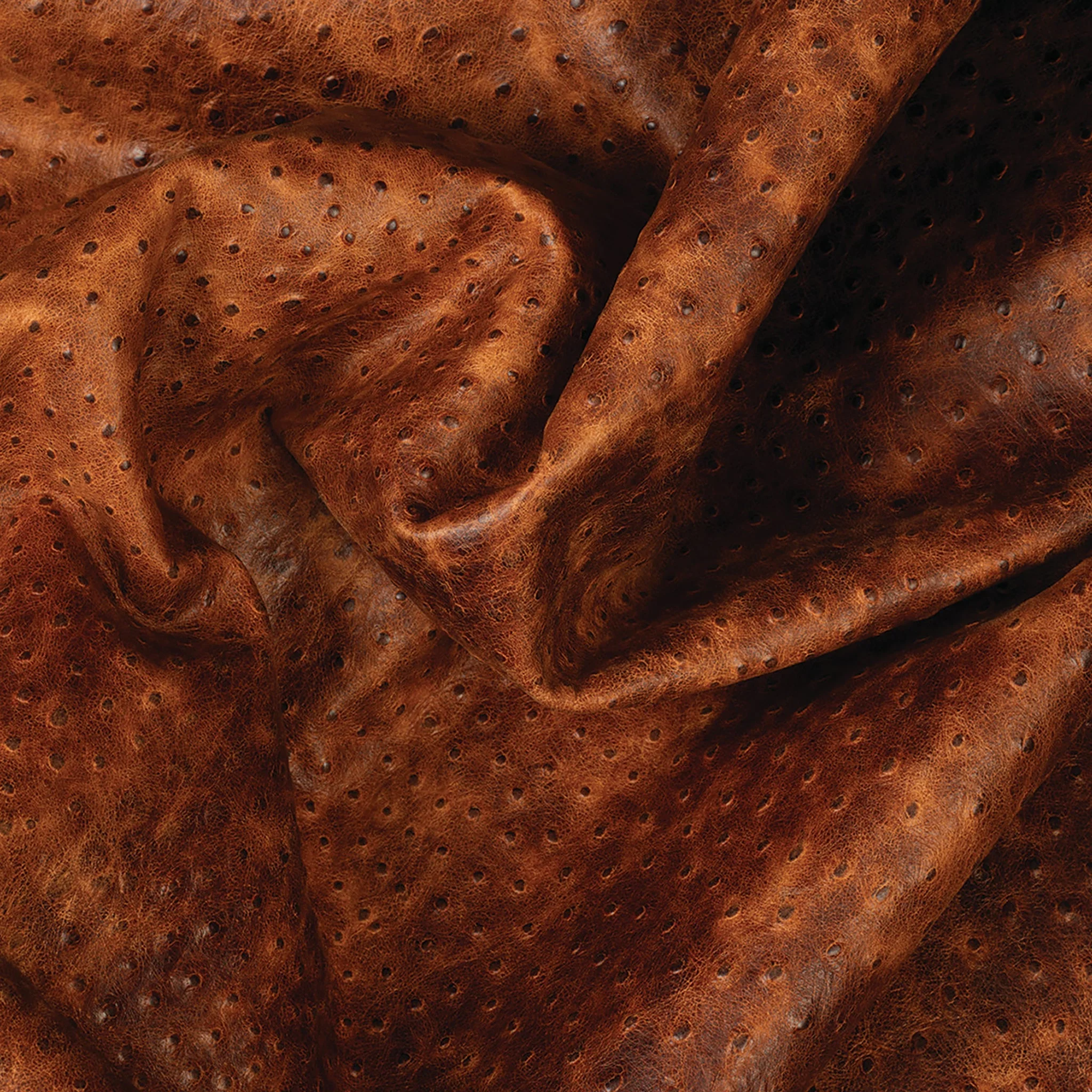 Sample, Embossed Leather, 2-3 oz., Ostrich Brown - Image 2