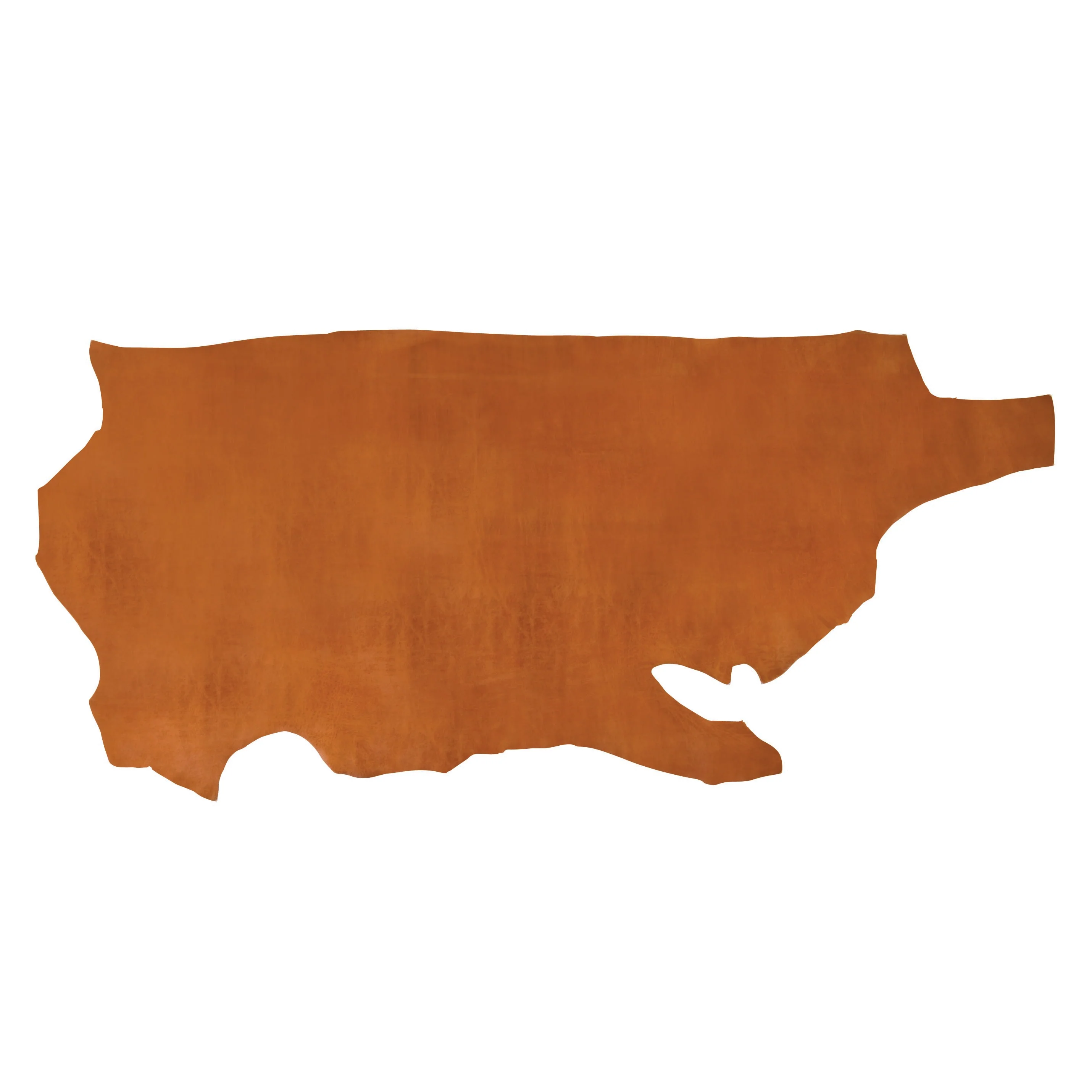 Sample, Hermann Oak® Old World Russet Harness Leather - Image 3