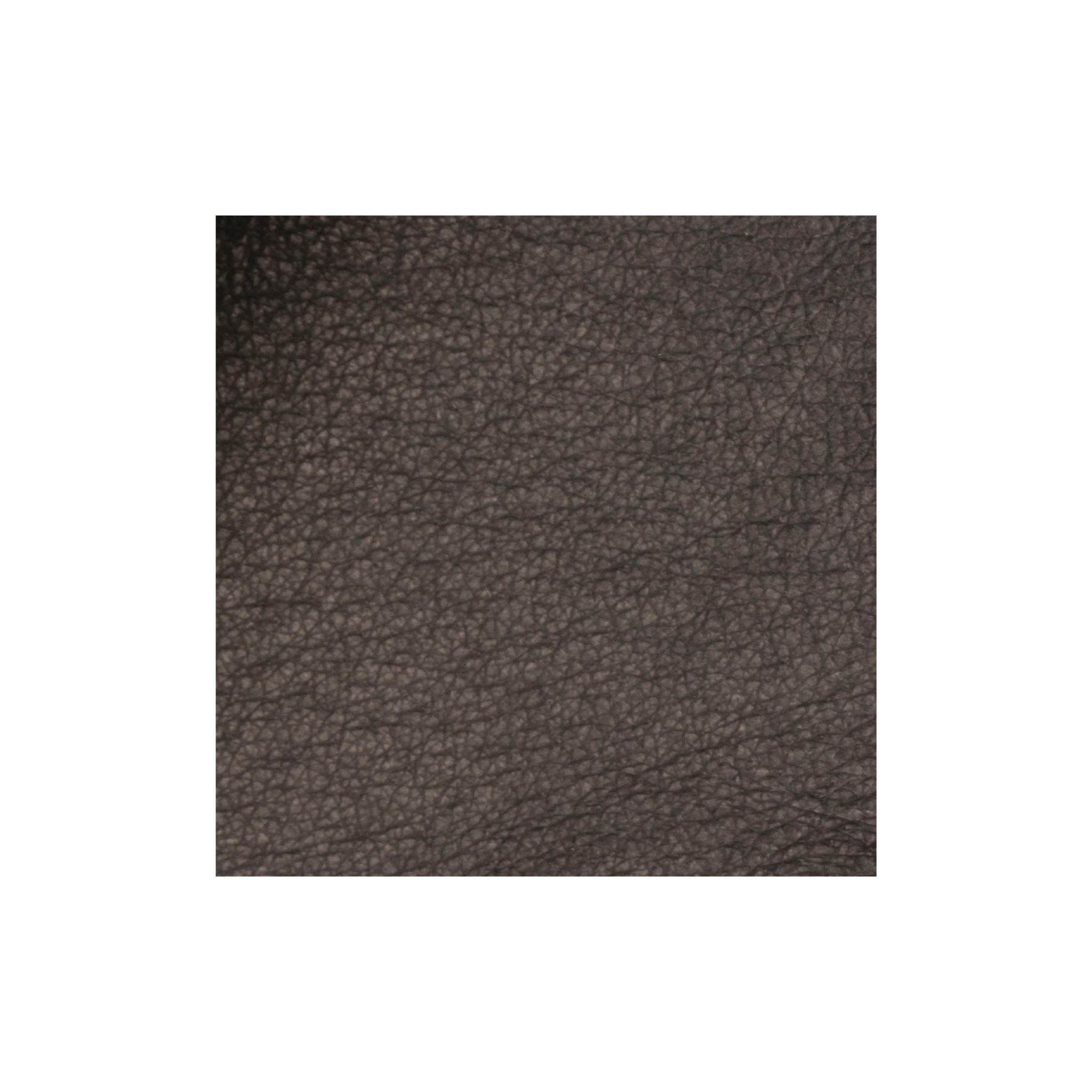 Sample, Pigskin Lining Hide, 1 to 2 oz.