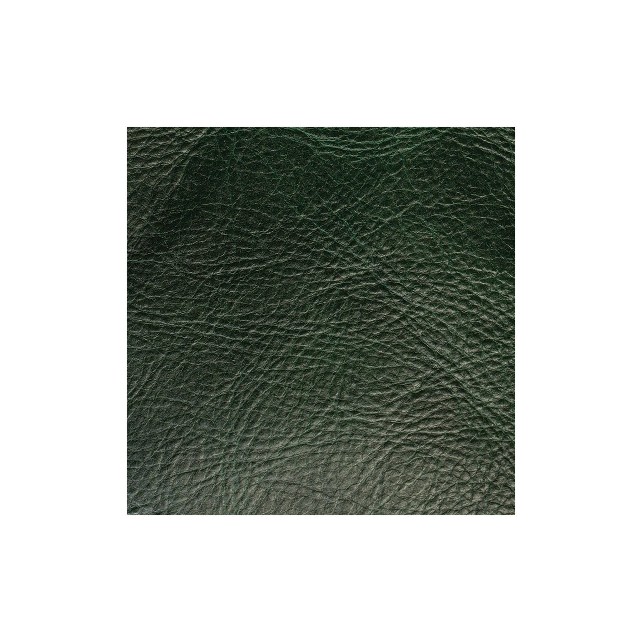Sample, Western Crunch Water Buffalo Leather, 4-5 oz. - Image 16