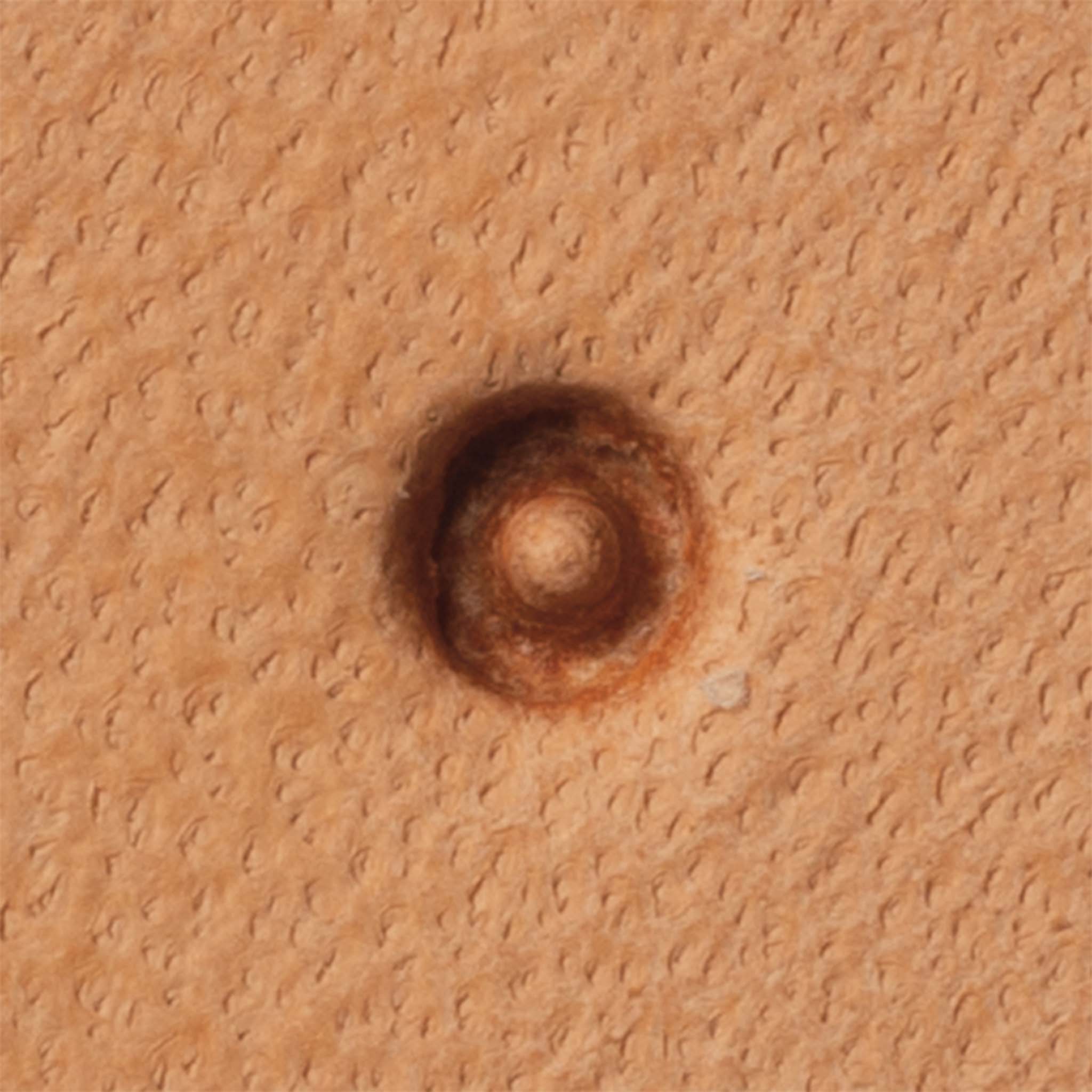 Seeder Stamping Tool - Image 3