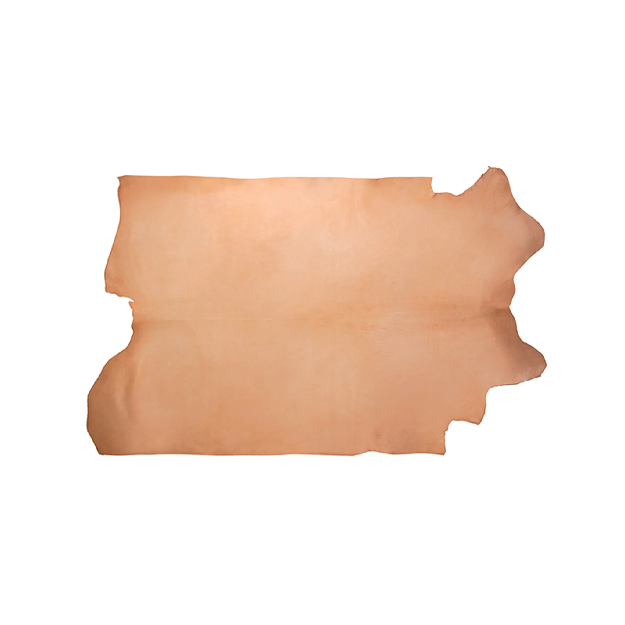 Veg Tanned Double Back with Pasted Back, 8/9 oz. - Image 3