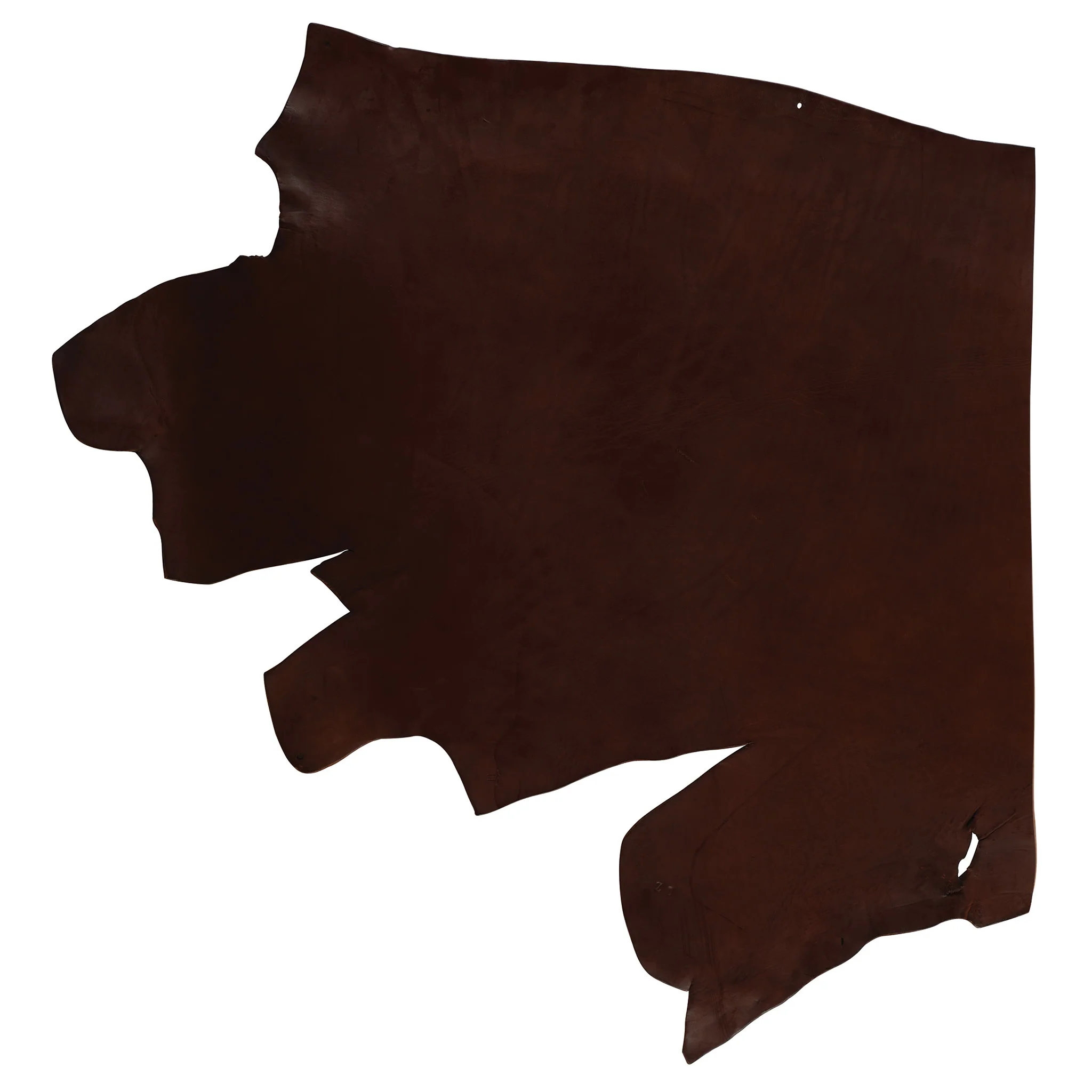 CHAHINLEATHER® English Bridle Leather, Single Shoulder, 12/13 oz. - Image 3
