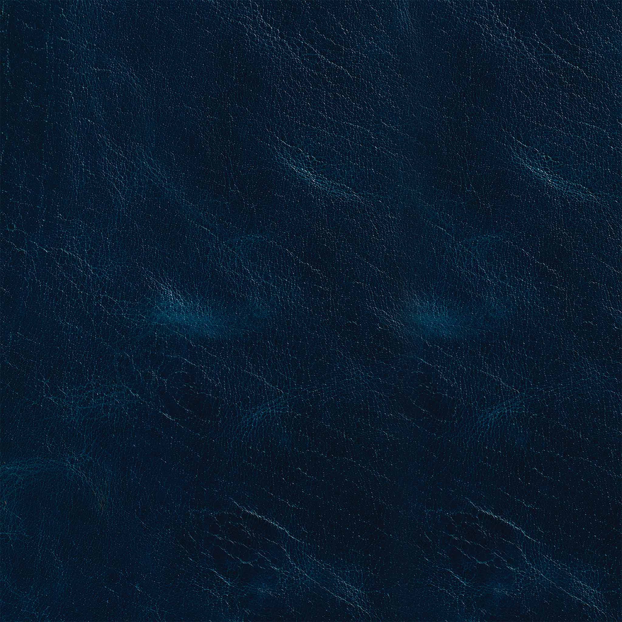 Western Crunch Water Buffalo Leather Panel - Image 5