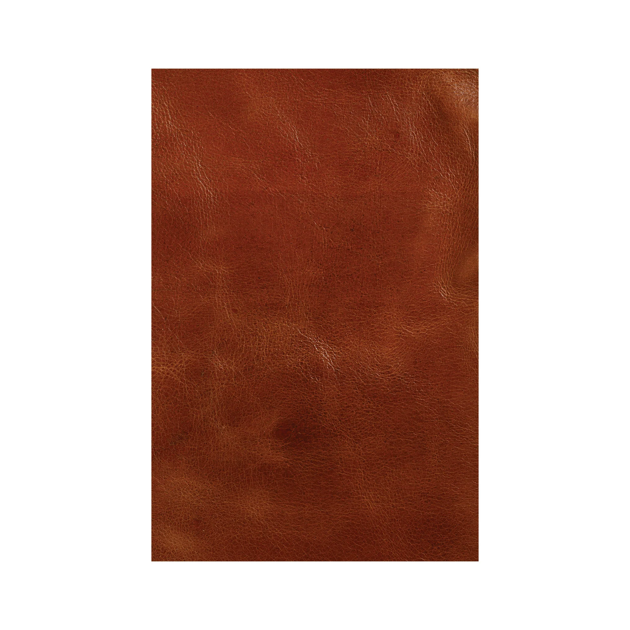 Western Crunch Water Buffalo Leather Panel - Image 9